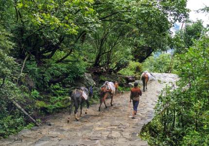 Hemkunt Sahib Spiritual Trek from Chandigarh