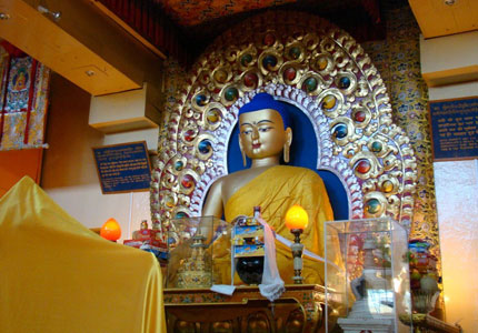 Himalayan Hills Adventure: Dharamshala to Mcleodganj