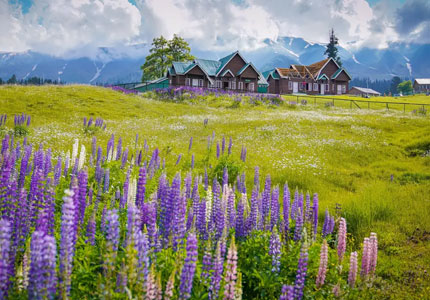 Chandigarh to Srinagar: Serene Kashmir Getaway