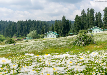 Jammu