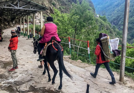 Char Dham Darshan from Delhi (All 4 Shrines Tour)