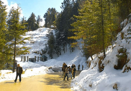 Chandigarh Hill Stations Tour: Shimla & Manali