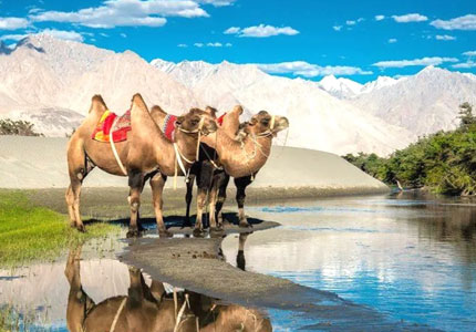 Chandigarh to Ladakh: 9-Day Nubra & Pangong Adventure