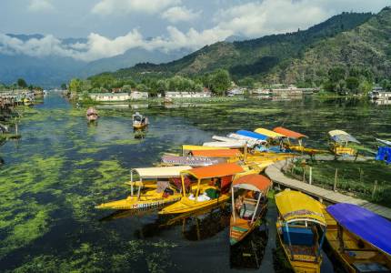 Himalayan Adventure: 7 Days Kashmir Tour