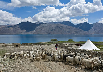 Leh Ladakh Tour Packages