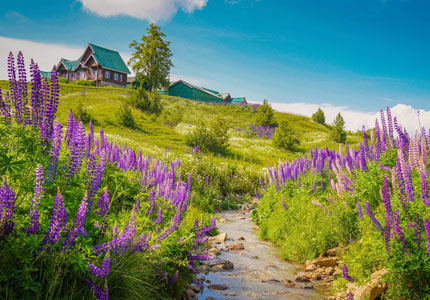 Adventure Tour: Jammu-Srinagar-Gulmarg-Pahalgam-Sonmarg