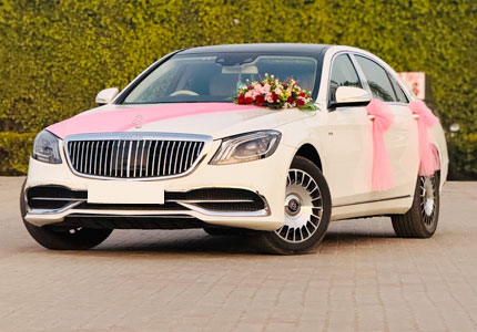 Luxury Cars