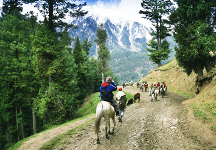 Kashmir Valley Highlights: Amritsar to Srinagar Tour