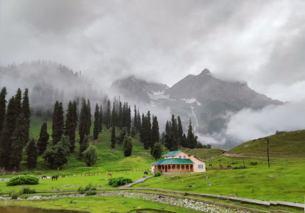Amritsar to Srinagar, Gulmarg, Pahalgam & Sonmarg Tour
